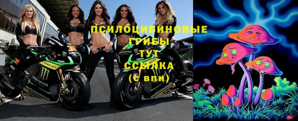 эйфоретик Верхний Тагил