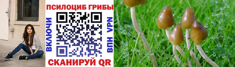 даркнет состав  Сызрань  hydra tor  Галлюциногенные грибы Psilocybe  хочу  